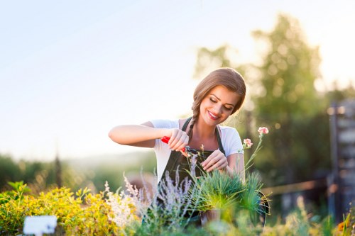 Customer complaint review for a landscaping project