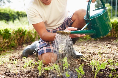 Example of a shared garden cleanup in Gunnersbury