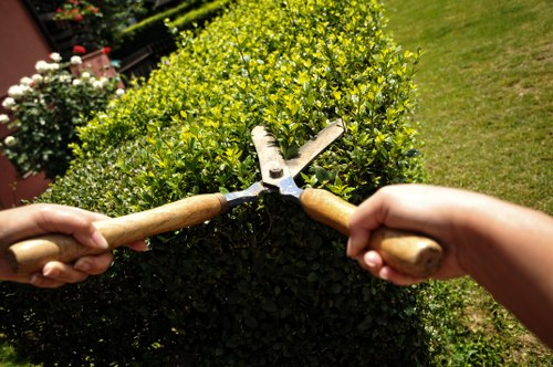Outdoor landscaping features for a Gunnersbury property