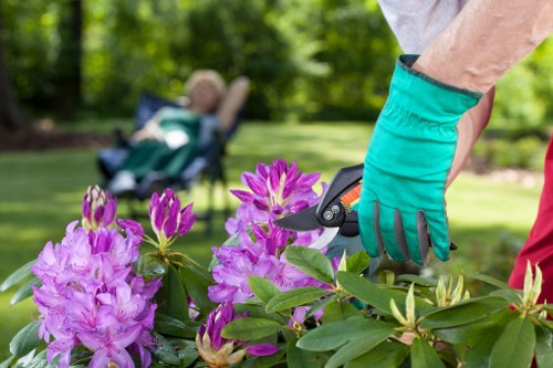 Free quote process for landscaping work at a residential property