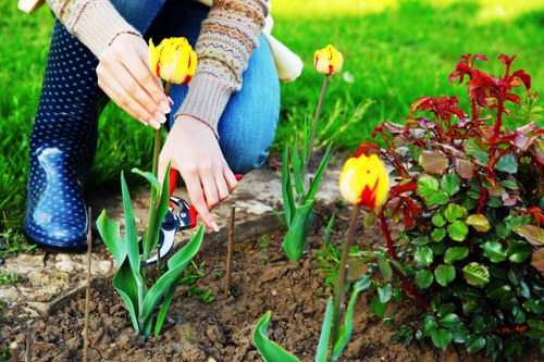 Outdoor LED garden lights highlighting planting in a Gunnersbury home garden