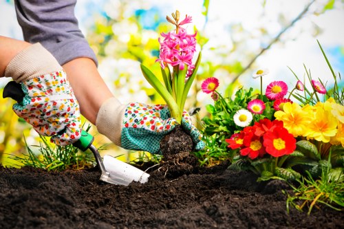 Low-carbon van used for sustainable landscaping work