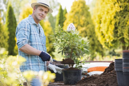 Thoughtful garden planning and planting design for a Gunnersbury home