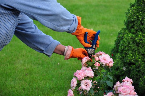 Commercial outdoor landscaping and tidy planted areas near Gunnersbury