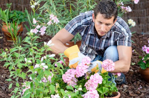 Charity reuse of surplus plants and garden materials